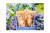 2b5fe7b15ac0139044c57151dca9cfc4.png