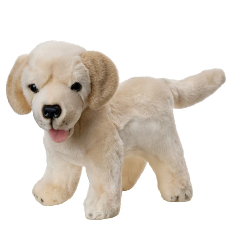 5f6060ec6dda954ea7c7a4ec3a4768bb.png