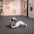 ac1f8258b4da136566c71a00cb6c4b19.webp