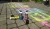 4aba0d913816aadf10c9a42e54b10389.webp