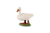 21261e559552fe1e276a2f4d84647b65.png