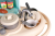 fe5c638f7c2d3eba121600c59f089d25.png