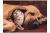 5eefec804280f81925931e38f2a1d840.png