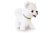 ab144a1f0a93e8d626d9388bf8cb45e6.png
