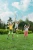 176eeb490f8bcb3b774a29f71231f681.webp