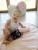 ad42cc62359217d112f0ffb3be27b41e.webp
