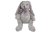 a64d763d459b411a96eb28e90de4d19f.png