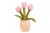 cb50b7afee091b76687ab995aea9ef85.png