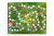 dca714c61026eaa11bb03c17aee04b4e.png