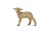 cb20ff7592dfe8aa45b9da5436d024dd.png