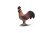 898d6633f7a81037775681d04b9cc791.png