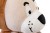 55daa1fc5a67710ff0abd17966c266fa.jpg