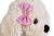 3b269384ec2a64bb288e1820896cf103.png